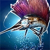 钓鱼发烧友 Ace Fishing (HIVE) Game Currency Top Up
